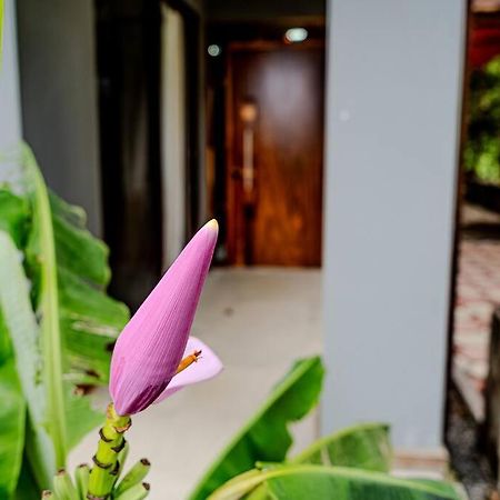 Cloud Forest House Monteverdes Buitenkant foto